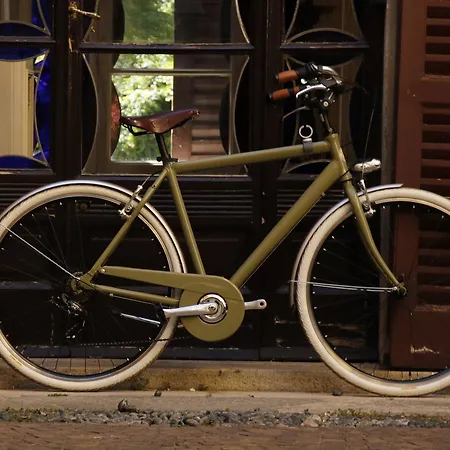 Palazzo Albricci Peregrini 邸宅 コモ